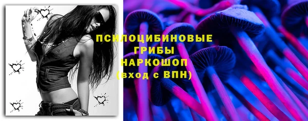 дживик Вязники