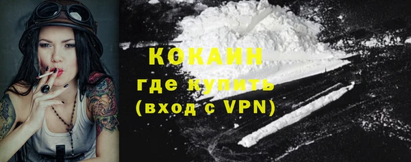 соль ск Кулебаки