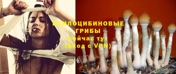 ECSTASY Красноперекопск