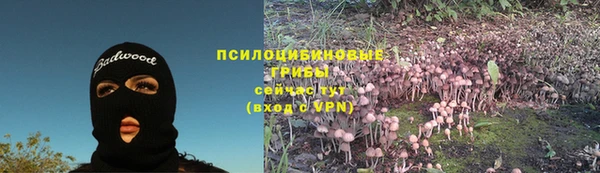 дживик Вязники
