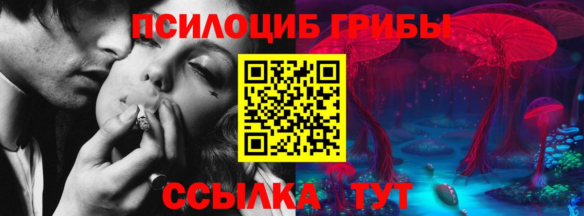 Галлюциногенные грибы Magic Shrooms  Мценск 