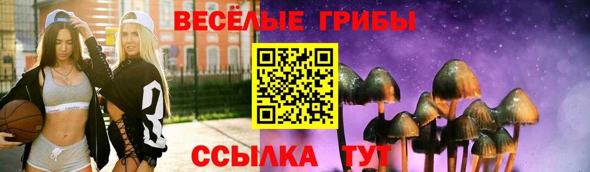 Галлюциногенные грибы мицелий  Вход с VPN  Мценск  Галлюциногенные грибы Psilocybe 